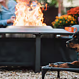 Fire Pit Surround