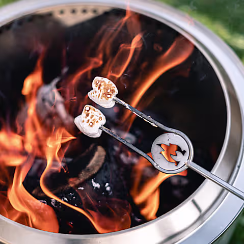 Roasting Sticks