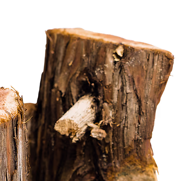 2-Pack Juniper Aromatic Firewood