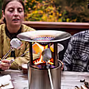 Mini Roasting Sticks