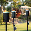 Mesa Torch 3-pack