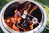 Roasting Sticks