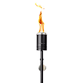 Mesa Torch