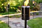 Mesa Torch