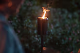 Bonfire 19.5" Fire Pit + Torches Bundle