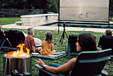 Vista Projector Screen