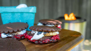 Raspberry Chocolate S’mores