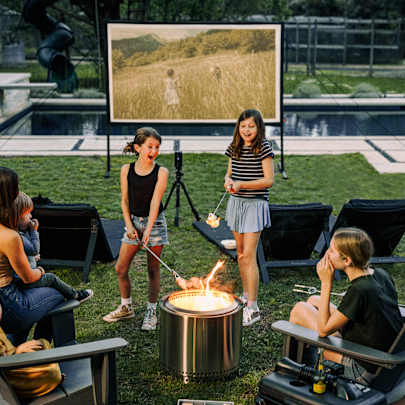 Vista Projector Screen
