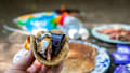 Best S’mores Ideas for Every Season 