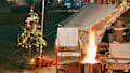 3 Reasons Why You Shouldn’t Burn A Christmas Tree in Your Fire Pit