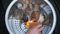 The Easiest Fire Ever: How To Light A Fire With Solo Stove Essentials