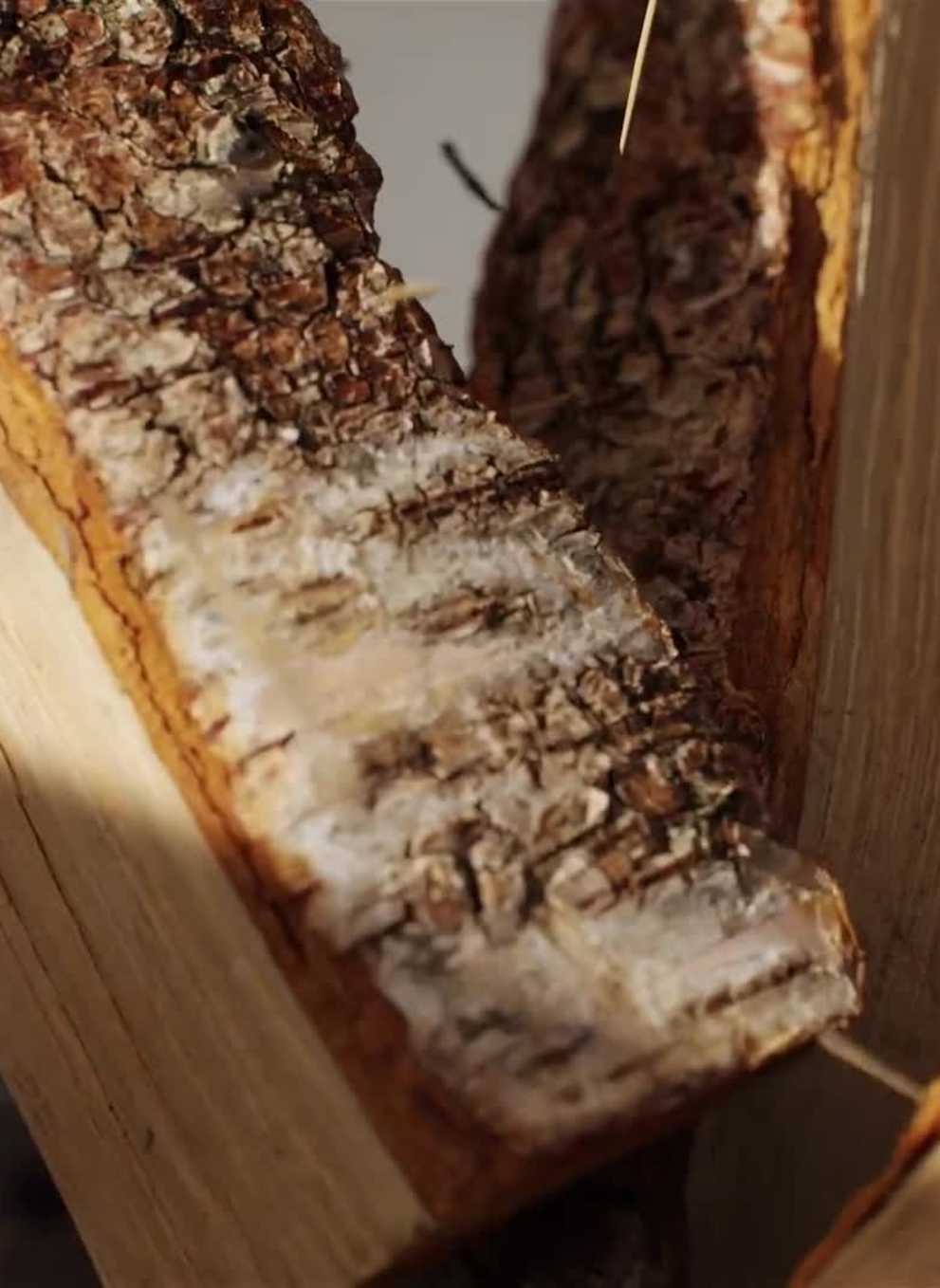 Solo Stove - Smokeless Fire Pits. Pizza Oven. Camp Stoves. Solo Stove